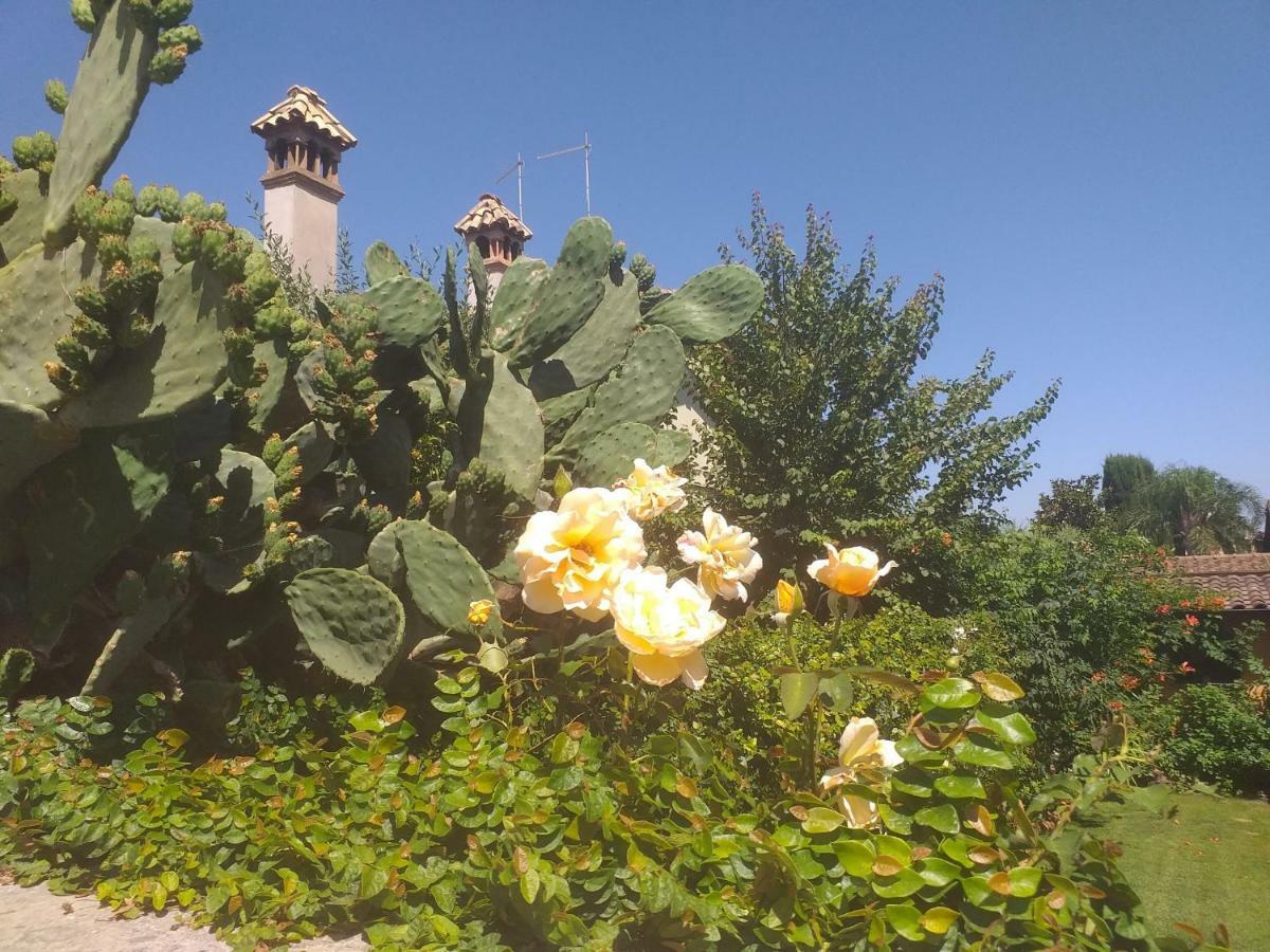 Villa Vittorio Infernetto Buitenkant foto